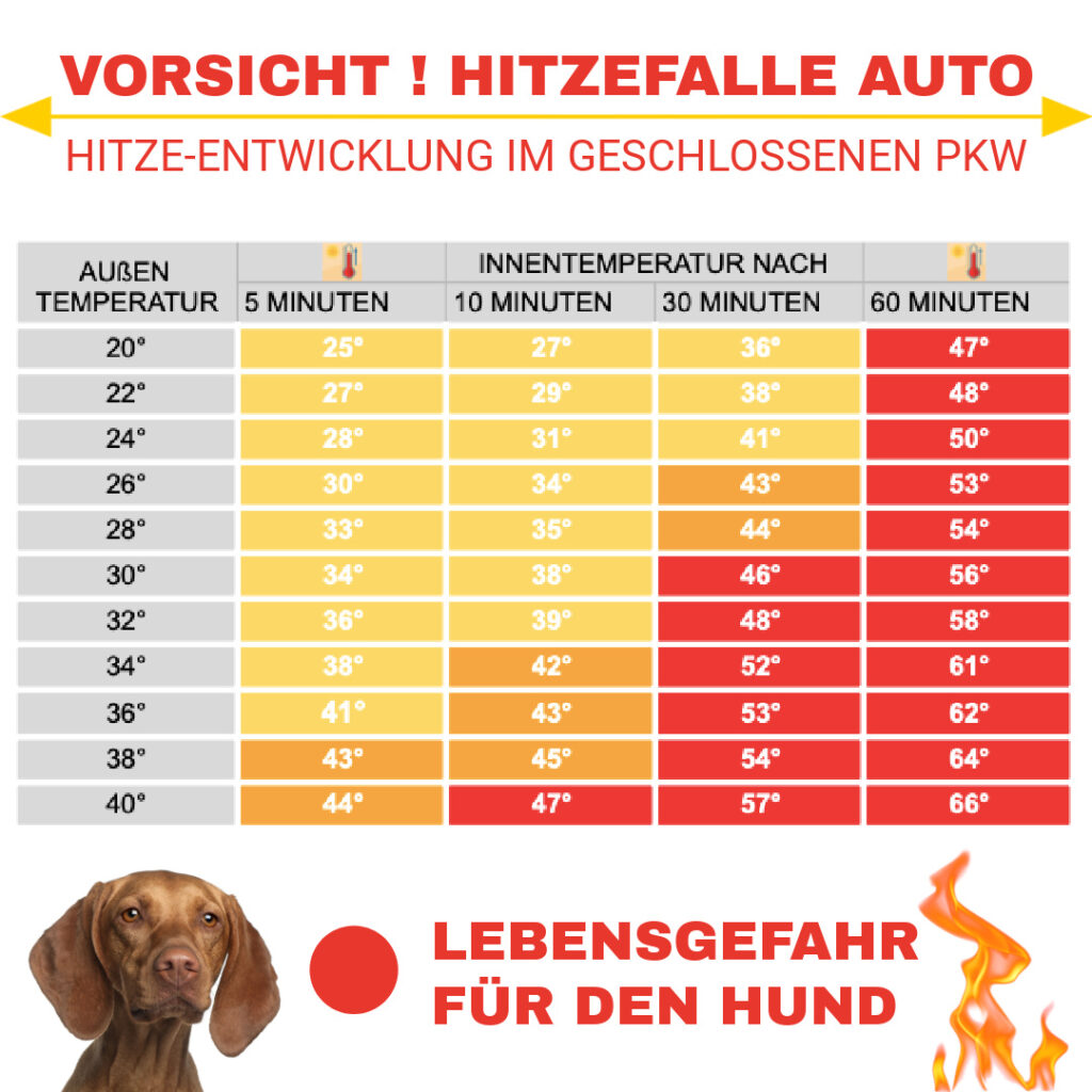 Schattennetz Auto für Hunde, 3x2 m, Auto-Sonnenschutz aus Alunetz 85% UV  Reflektierendes Aluminium-Schattentuch Sonnenschutz Hitzeschutz Haube für