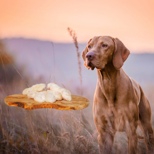 Fellläufe vom Kaninchen – Bild 2