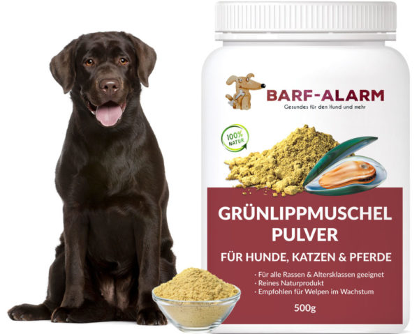 Grünlippmuschelpulver für Hunde - Reines Naturprodukt- Schonende Herstellung - Wertvolle Bestandteile - 100 % Grünlippmuschel für den