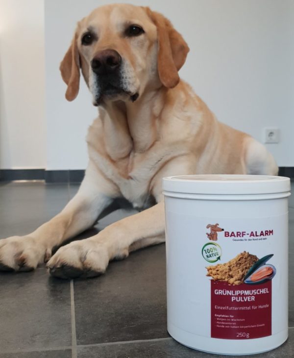 Grünlippmuschelpulver für Hunde - Reines Naturprodukt- Schonende Herstellung - Wertvolle Bestandteile - 100 % Grünlippmuschel für den – Bild 14