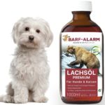Lachsöl für Hunde - Wichtige Omega 3 & 6 Fettsäuren ✅ Ideale Nährstoffversorgung