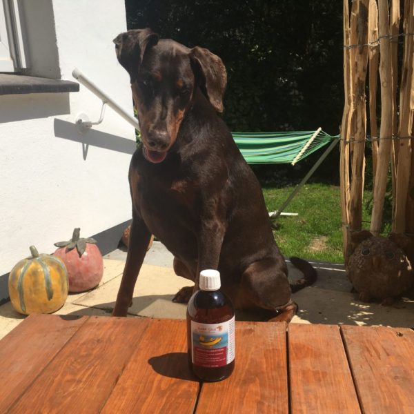 Dorschlebertran für Hunde - Reines Naturprodukt - Wertvolle Vitamine - Für Welpen und Junghunde 🐕 – Bild 10