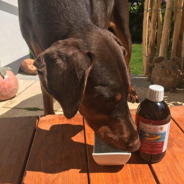Dorschlebertran für Hunde - Reines Naturprodukt - Wertvolle Vitamine - Für Welpen und Junghunde 🐕 – Bild 13