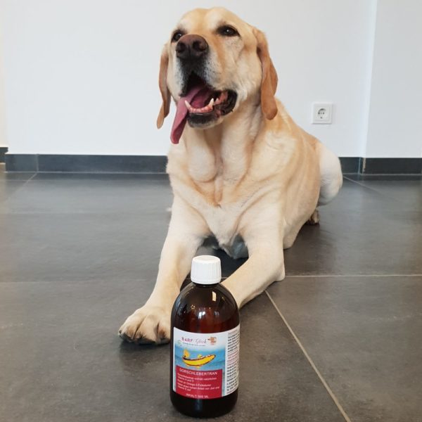 Dorschlebertran für Hunde - Reines Naturprodukt - Wertvolle Vitamine - Für Welpen und Junghunde 🐕 – Bild 14
