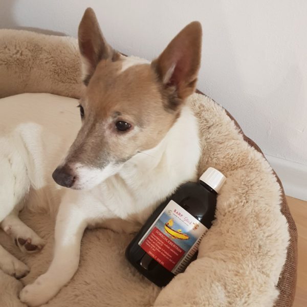 Dorschlebertran für Hunde - Reines Naturprodukt - Wertvolle Vitamine - Für Welpen und Junghunde 🐕 – Bild 15