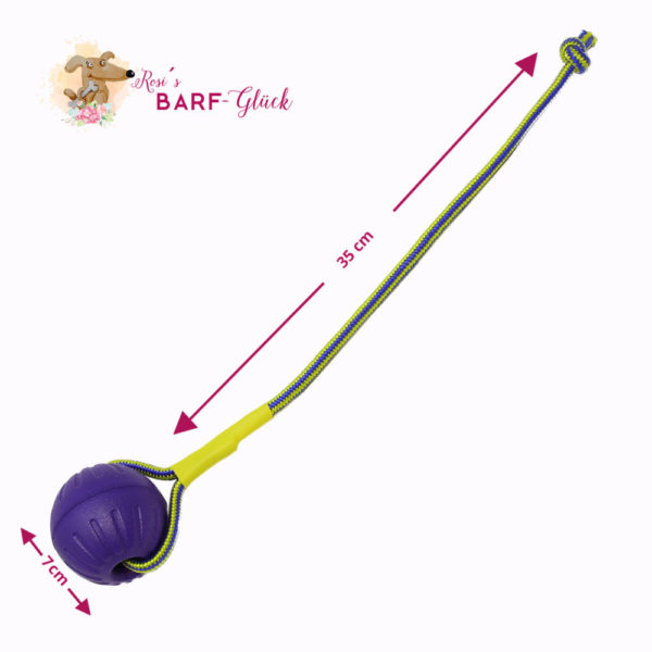 🐕 Hundeball mit Schnur - Durchmesser 7 cm - Farbe Lila - extra leicht -zahnfreundlich - schwimmfähig - Schaumstoff - Bissfest - Robust 🐾 – Bild 8
