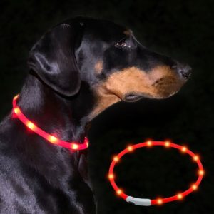 💜 LED-Leuchthalsband für Hunde - individuell kürzbar - wasserfest - ohne Batterien - Signalfarbe Rot - Sichtweite 400 m 🐕