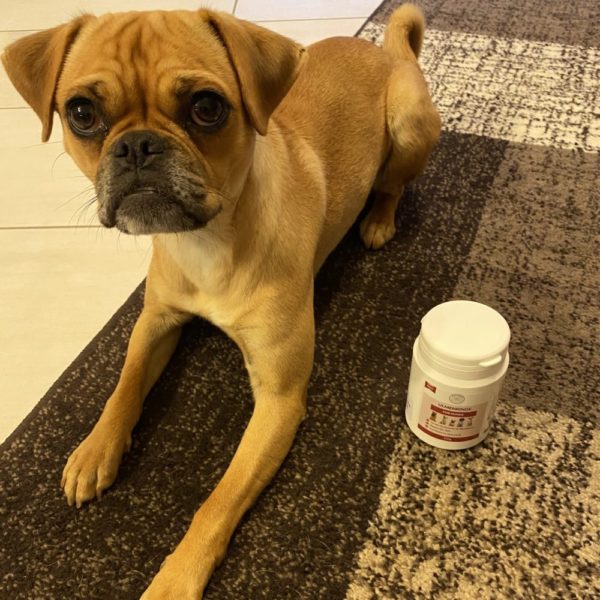 Ulmenrinde für Hunde – Bild 7