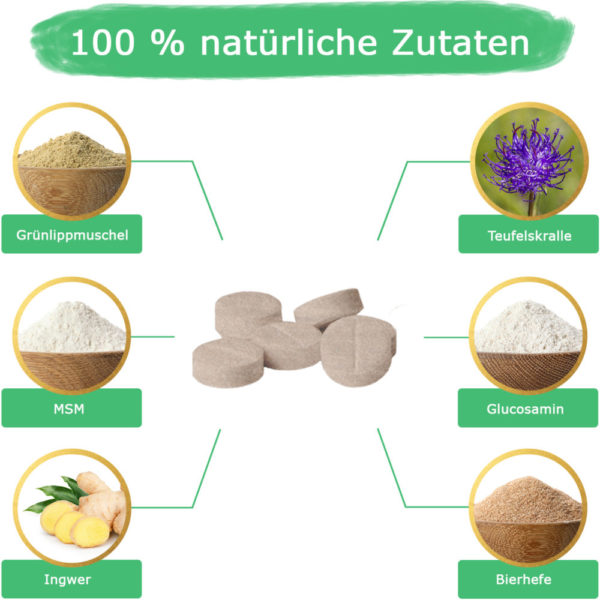 Gelenktabletten für Hunde – Bild 4